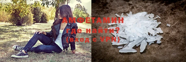 молекула духа Переславль-Залесский